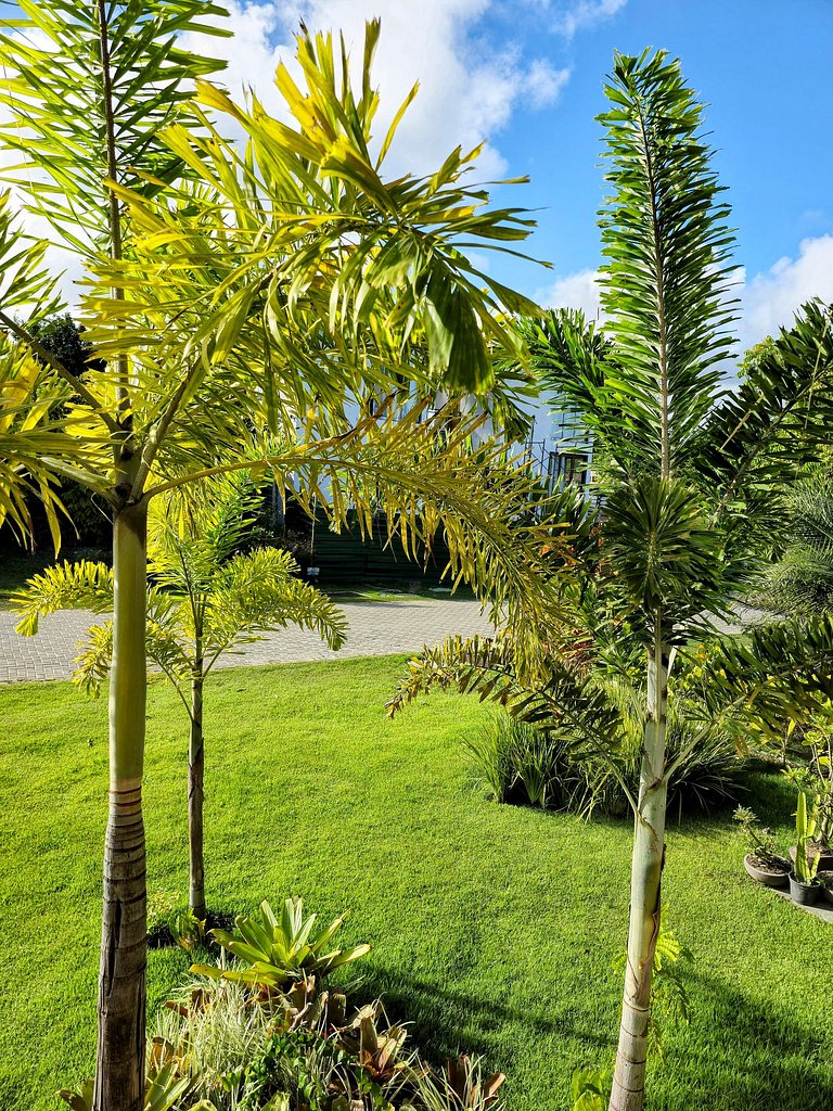 Casa Aura – The fresh breeze of the morning in every moment